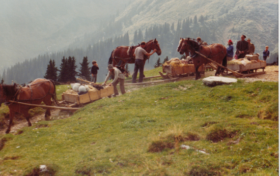 Pferdefuhrwerk im Val Sumvitg