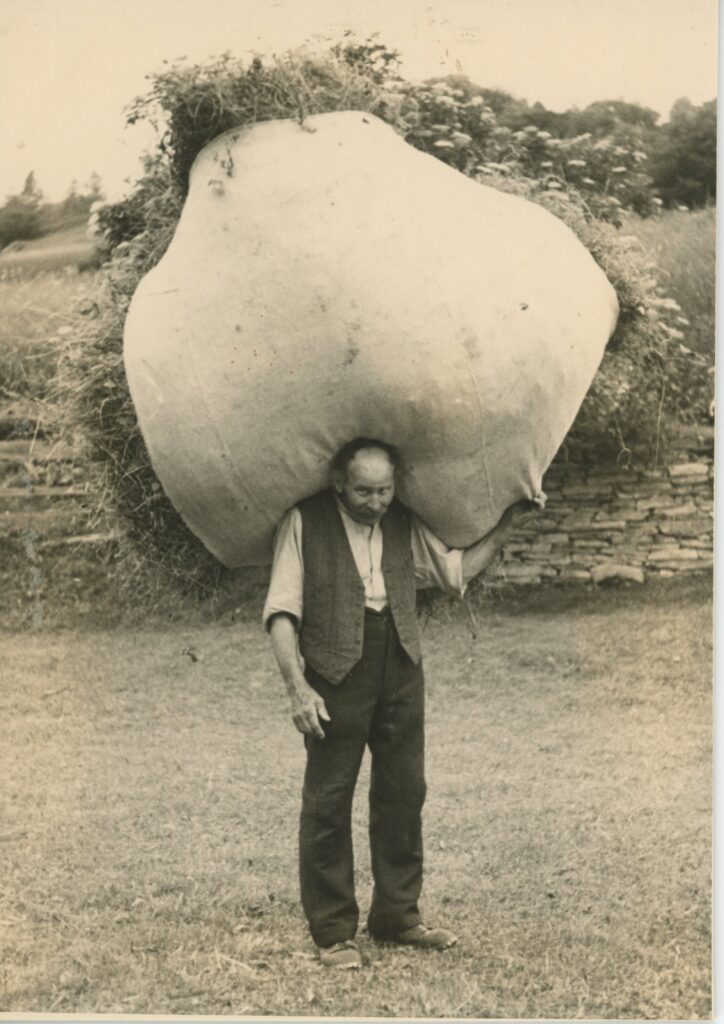 Bauer beim Heutragen in Surcasti um 1950