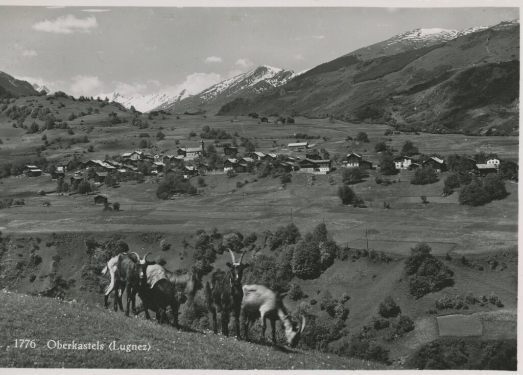 Surcasti ca. 1935